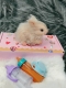 Силиконовый кролик реборн Rebunny
