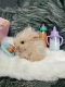 Силиконовый кролик реборн Rebunny